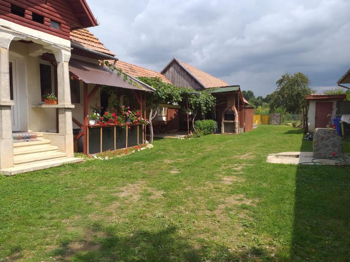 Casa Argentina Villa Cartisoara Exterior photo